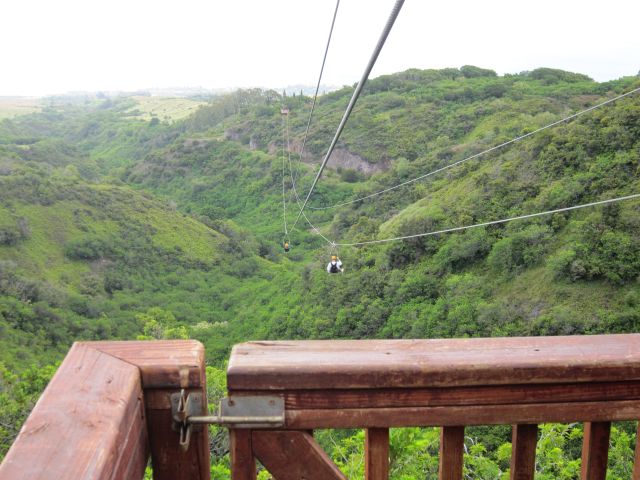 IMG 0605 copy